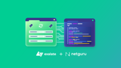 Netguru Exalate case study